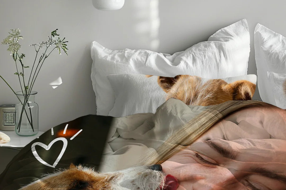 Personalisierte Geschenke für Haustierliebhaber - hey balu