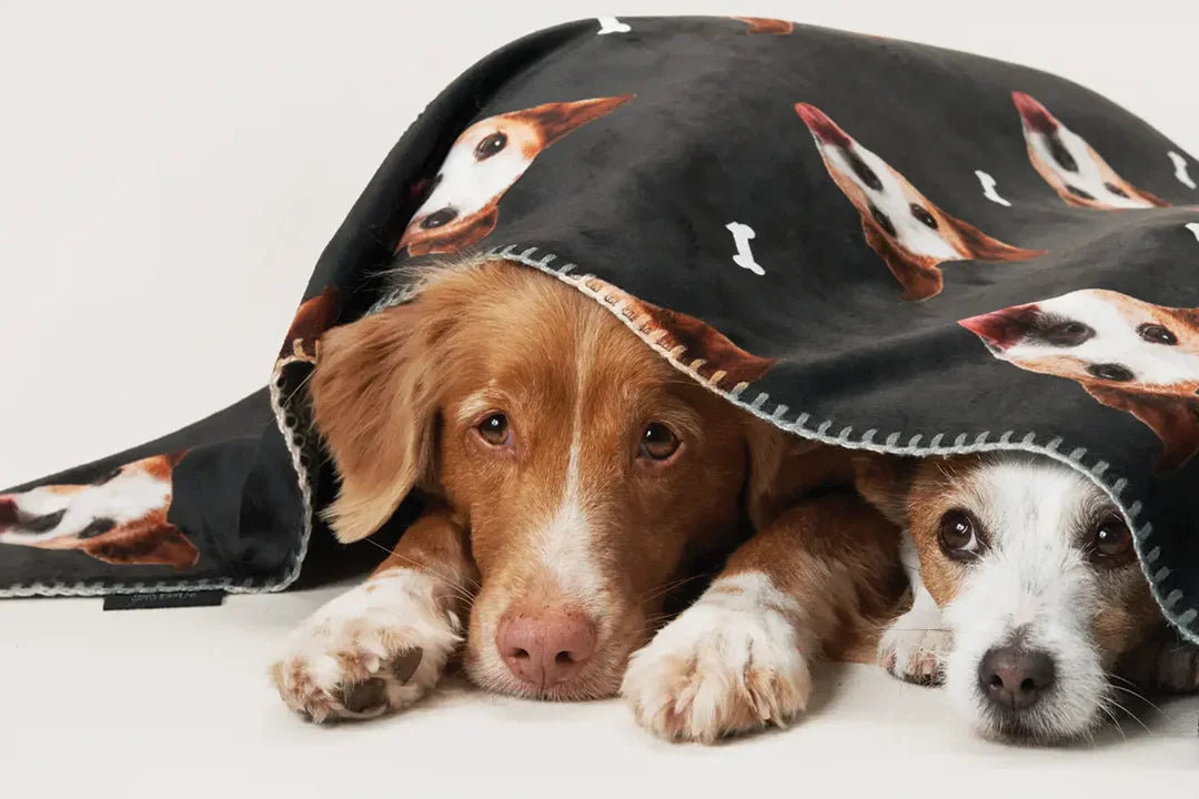 Personalisierte Geschenke für Haustierliebhaber - hey balu