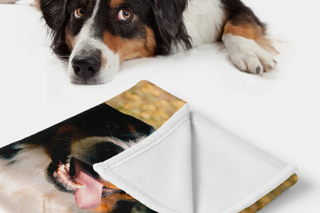 Personalisierte Geschenke für Haustierliebhaber - hey balu