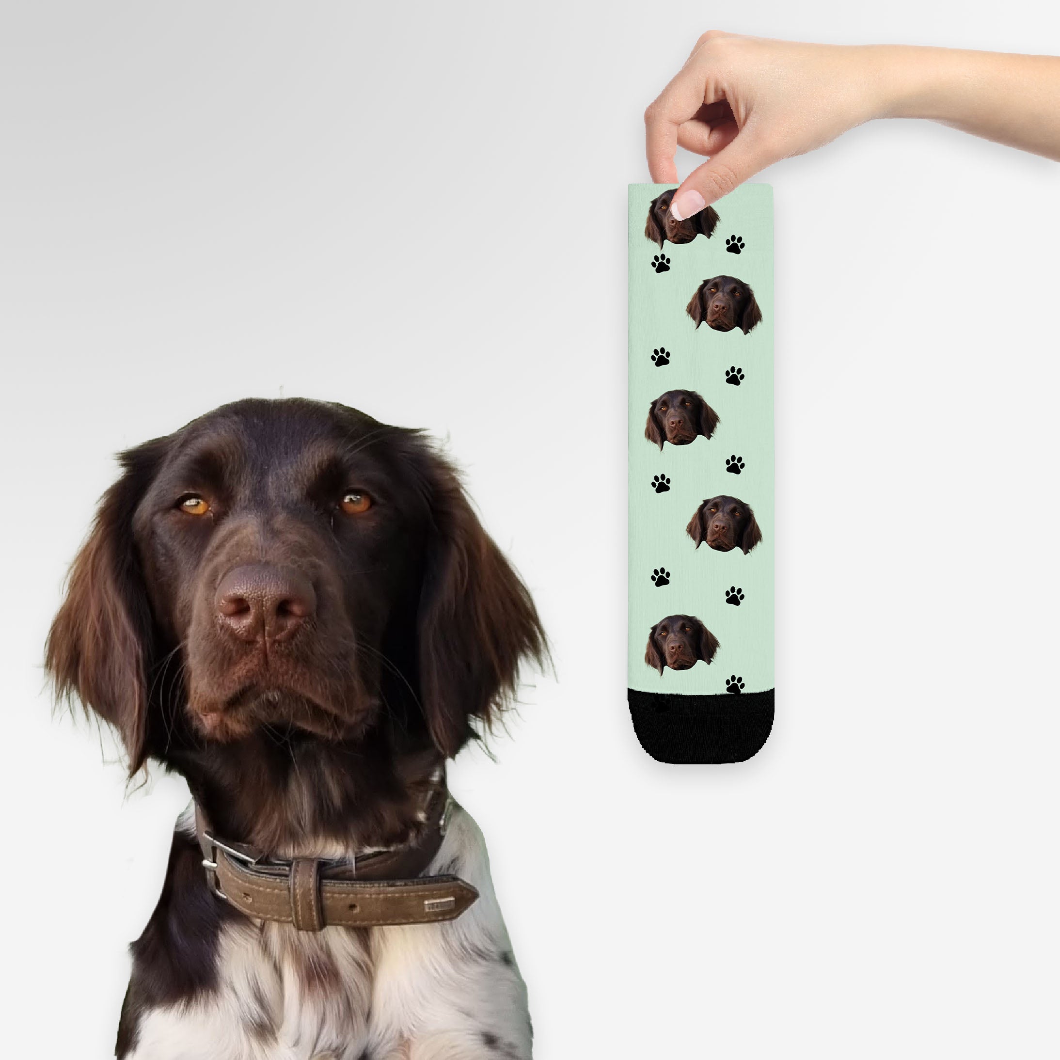 Personalisierte Socken mit deinem Haustier Hey Balu