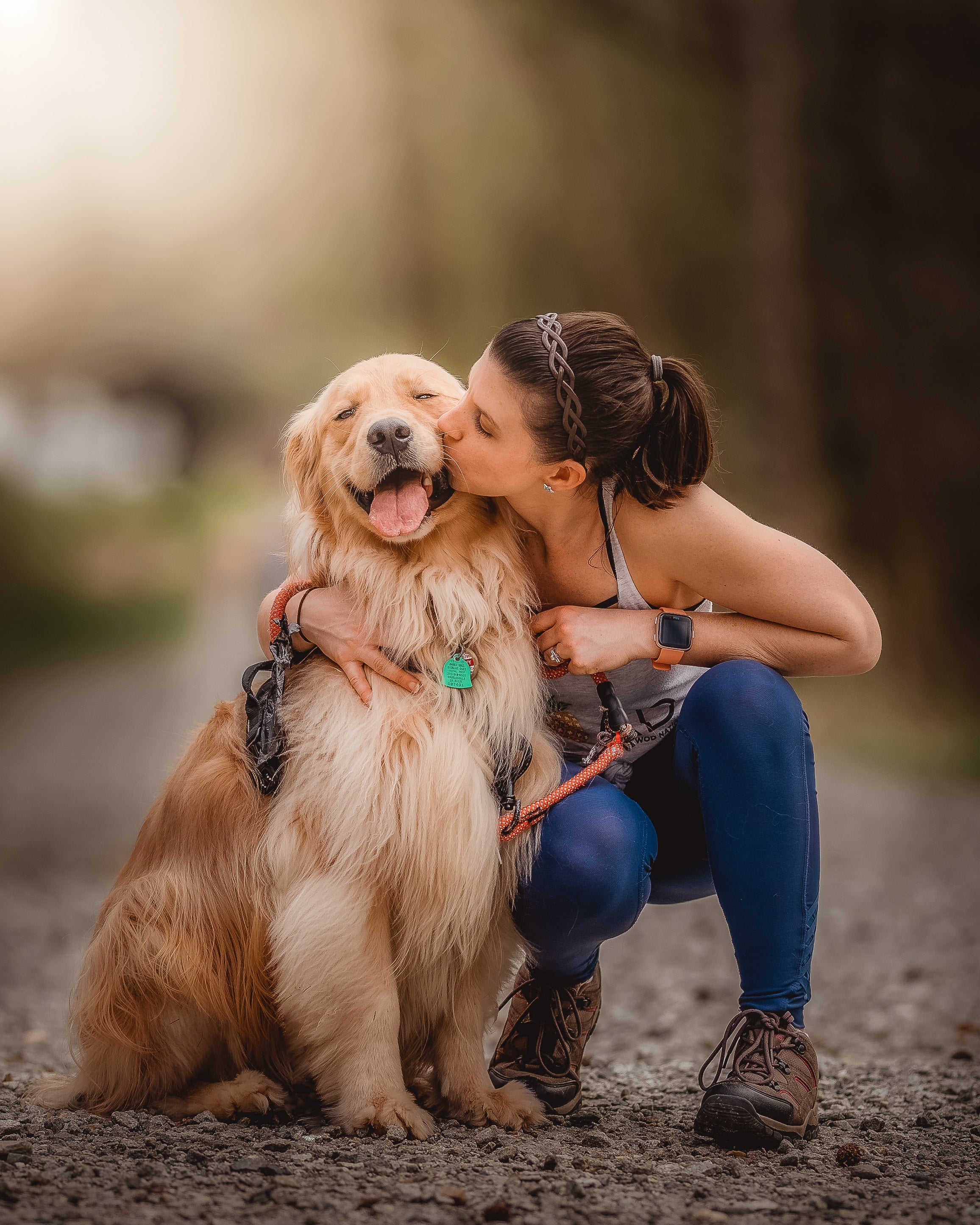 Die ultimativen Top 10 Geschenke für Hundebesitzer, die wirklich beeindrucken