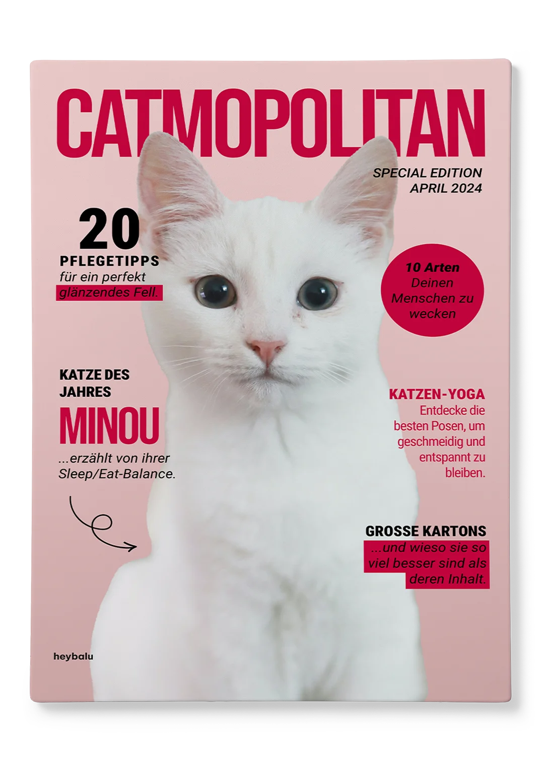 Personalisierte Leinwand Katzenmagazin "Catmopolitan" - heybalu