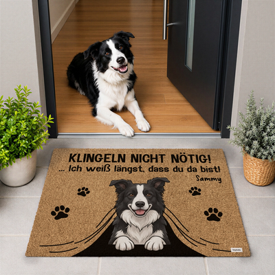 Border Collie liegt im Eingang hinter der Klingeln-nicht-nötig-Fußmatte mit Namen