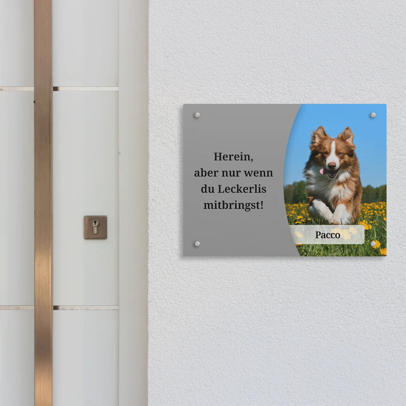 Personalisiertes Türschild "Haustier Foto" Hey Balu