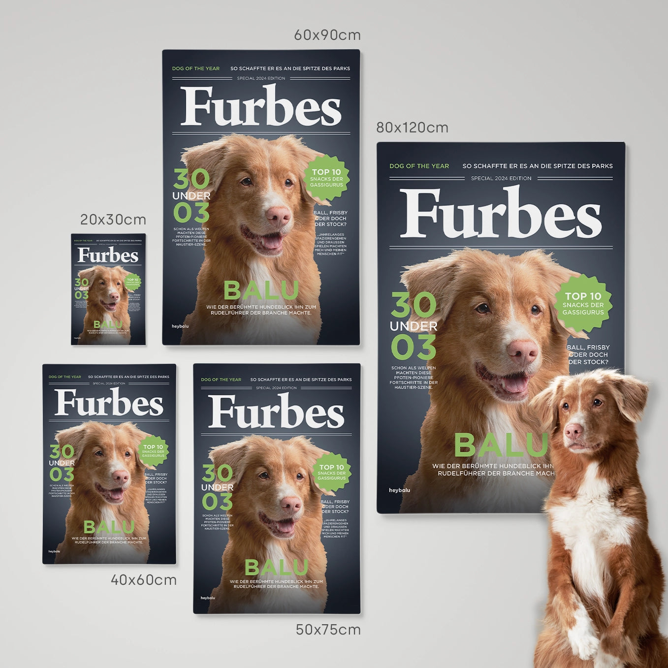 Personalisierte Leinwand Hundemagazin "Furbes" heybalu