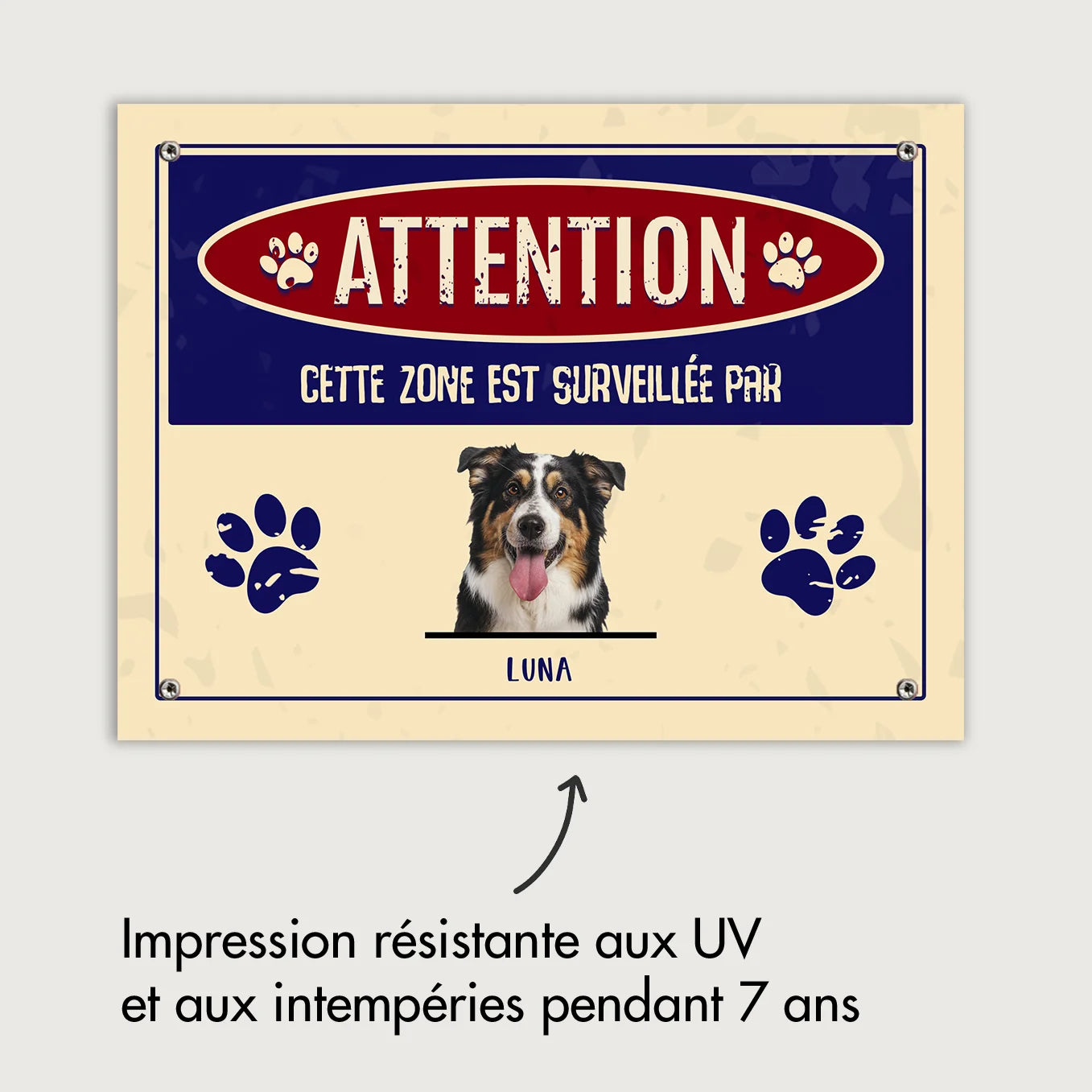 market_france