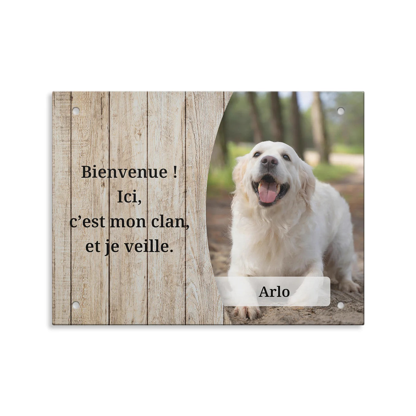 market_france