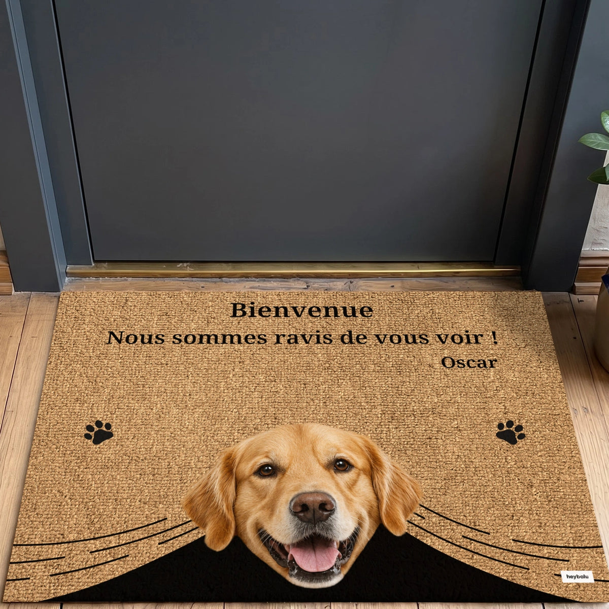 Personalisierte Fußmatte "Spähende Haustiere" mit Foto – personalisiertes Geschenk – Ansicht 16 market_france