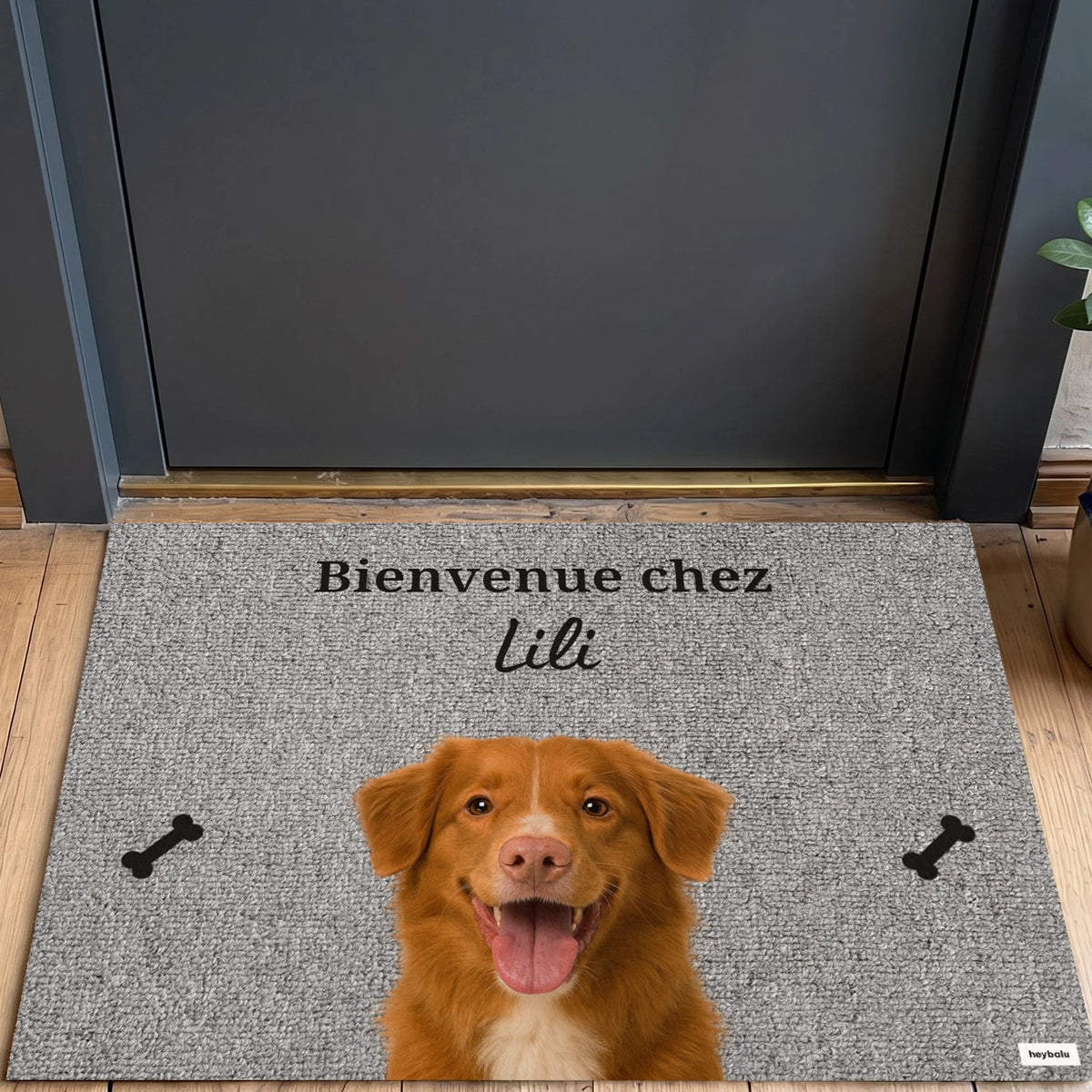 Tapis gris Bienvenue chez Lili avec photo d'un Toller et petits os market_france