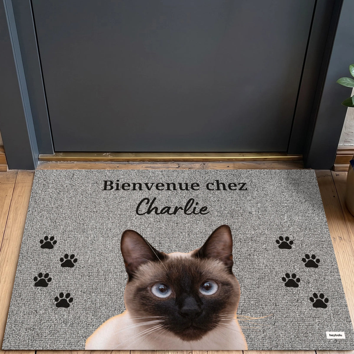 Personalisierte Fußmatte mit Foto deiner Katze – personalisiertes Geschenk – Ansicht 10 market_france