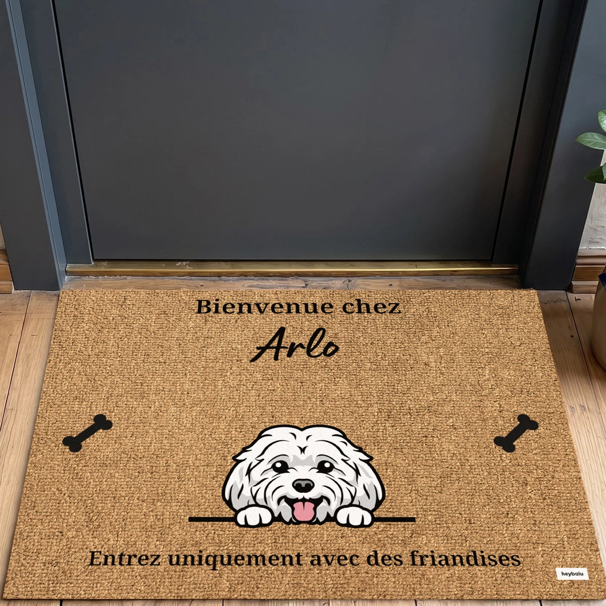 Personalisierte Fußmatte mit deinem Haustier im Cartoon-Stil – personalisiertes Geschenk – Ansicht 12 market_france