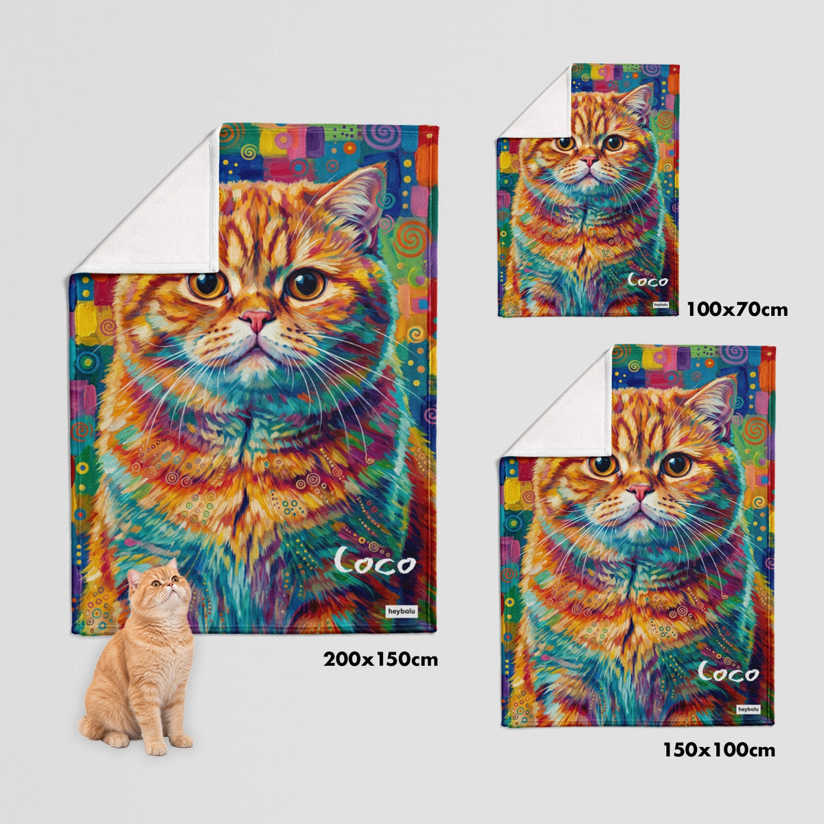 Dimensions du plaid chat graffiti : 100 x 70, 150 x 100 et 200 x 150 cm | market_france