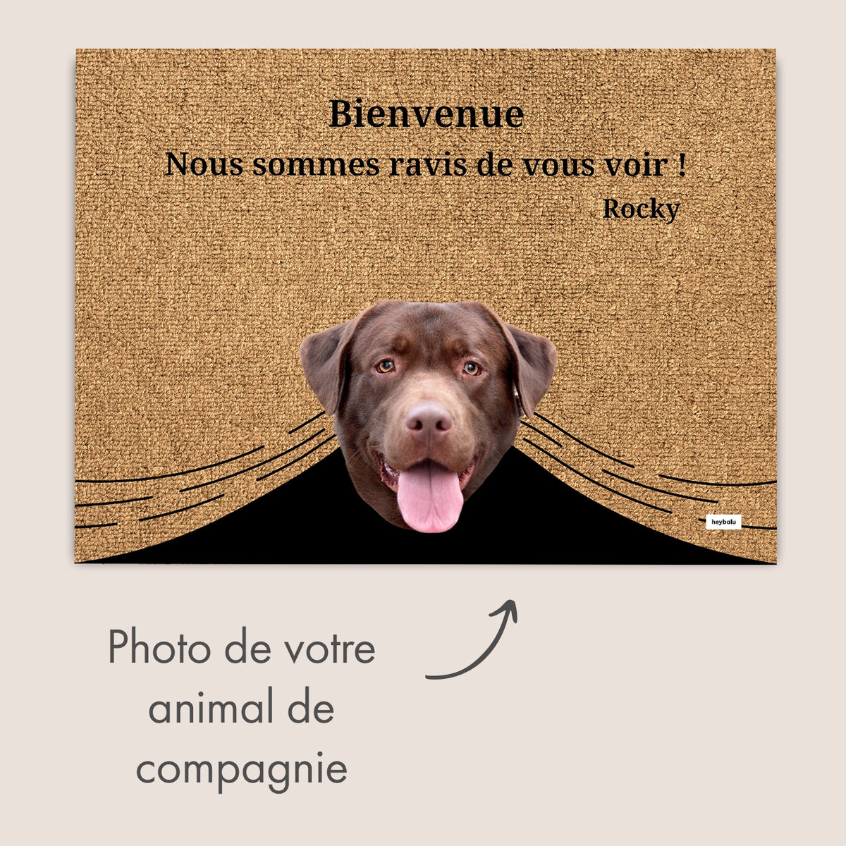Personalisierte Fußmatte "Spähende Haustiere" mit Foto – personalisiertes Geschenk – Ansicht 13 market_france