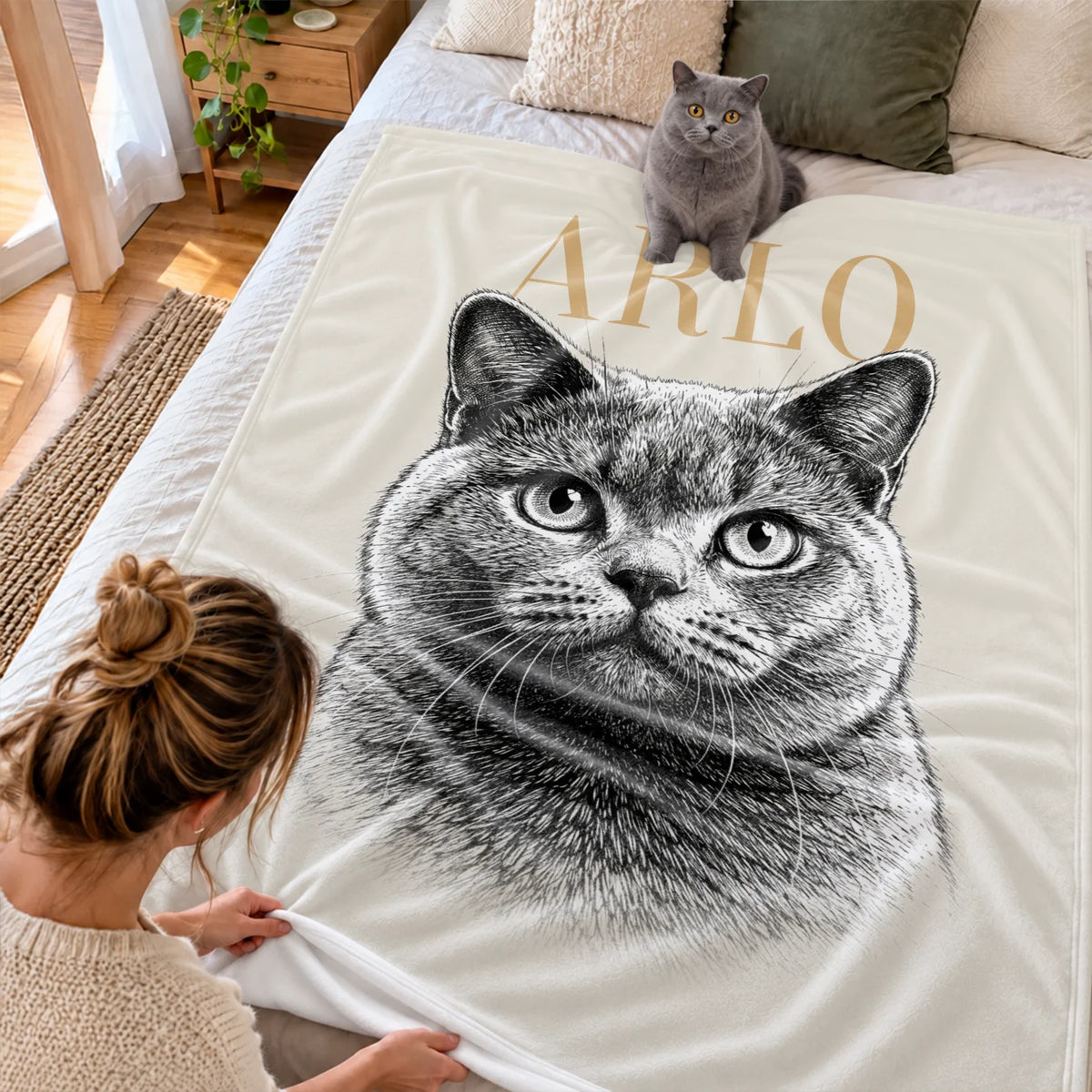 Chat gris assis sur le plaid Chat rétro crème étendu sur le lit market_france