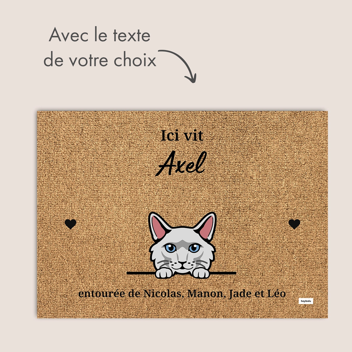 Personalisierte Fußmatte mit deinem Haustier im Cartoon-Stil – personalisiertes Geschenk – Ansicht 10 market_france