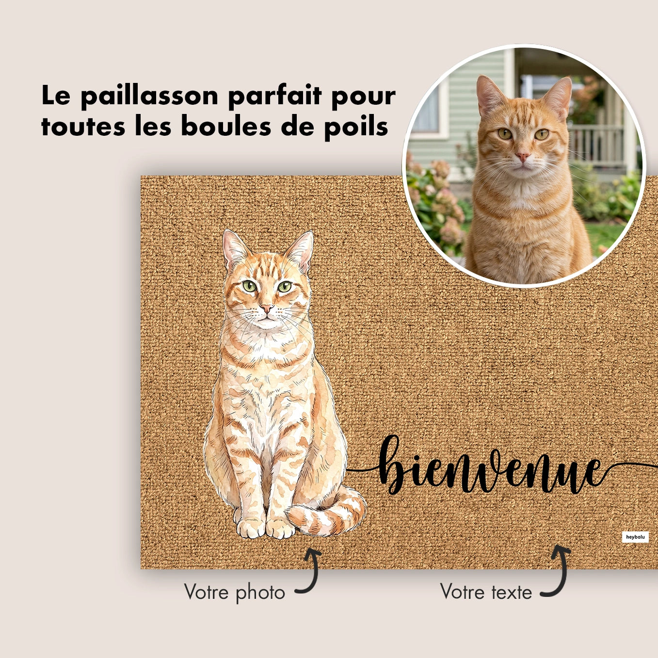market_france