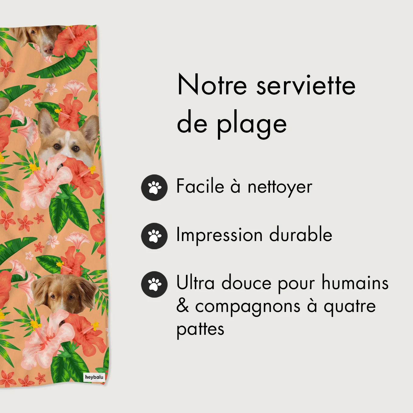 market_france