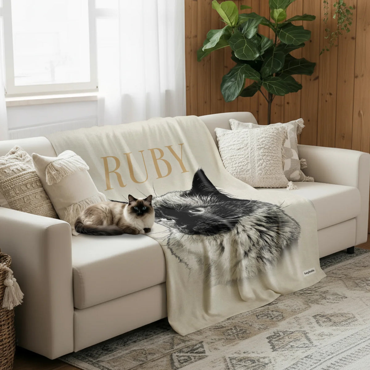 Chat siamois couché près du plaid Chat rétro crème sur le canapé market_france