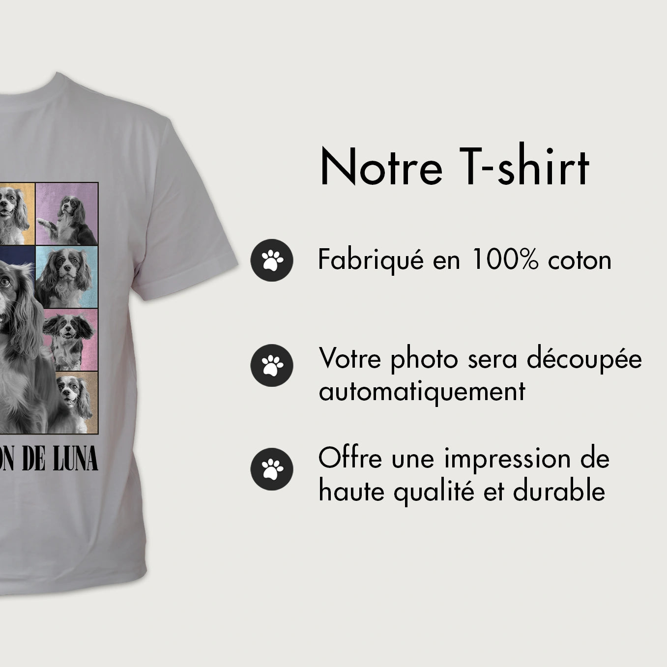 market_france