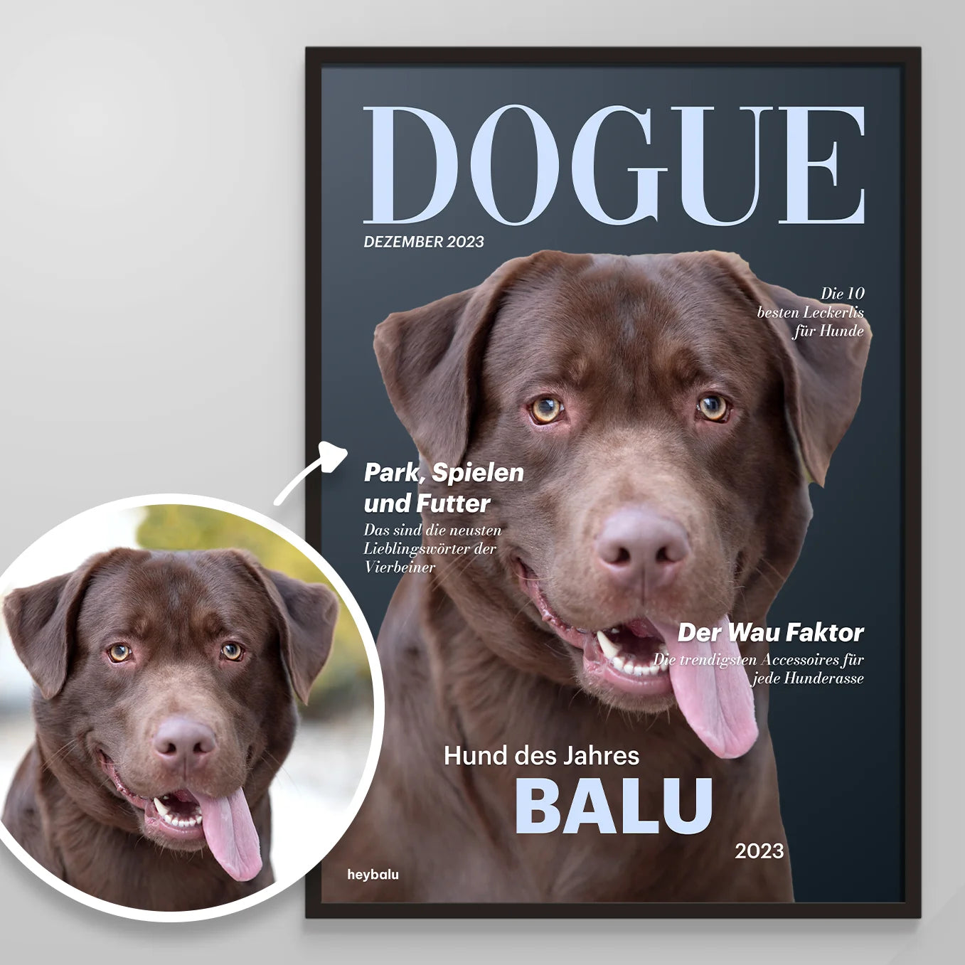 Affiche personnalisée magazine canin « DOGUE »