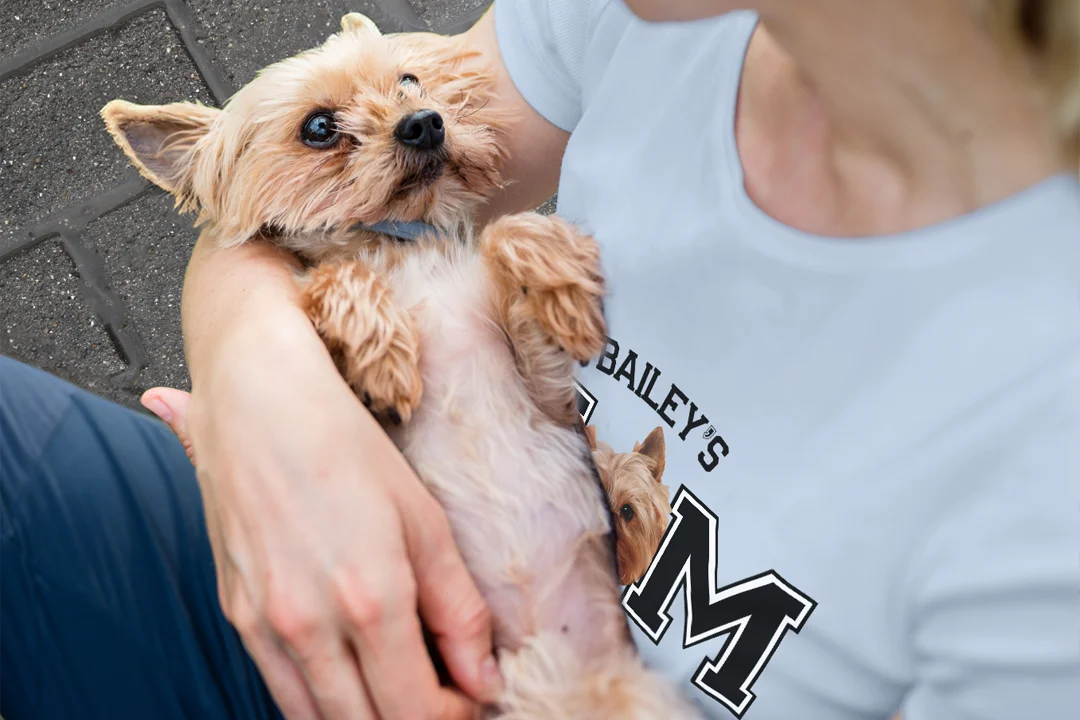 Personalisierte Geschenke für Haustierliebhaber - hey balu